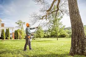 Best Emergency Tree Removal  in Helena Valley Northwest, MT